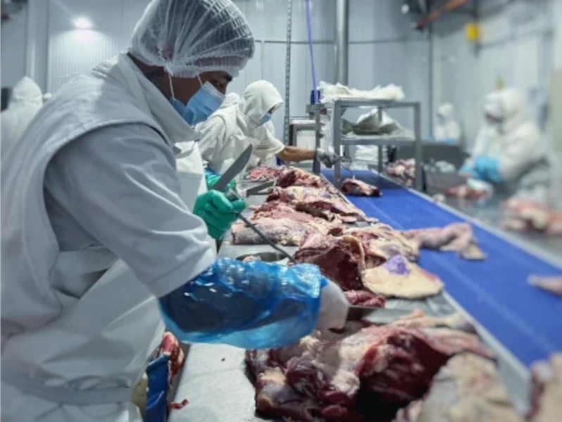 Para Empresas y Mayoristas